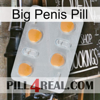 Big Penis Pill 24